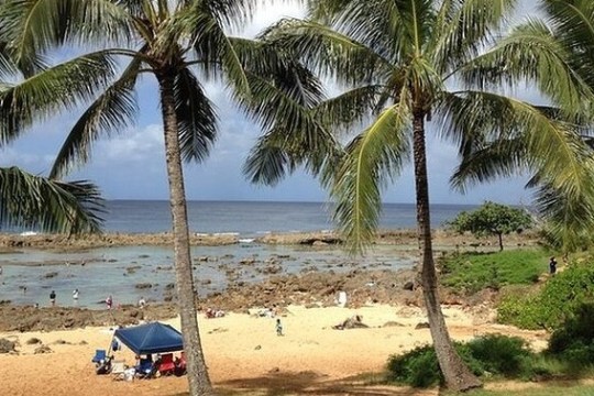 a beach with a lot of rocks and people